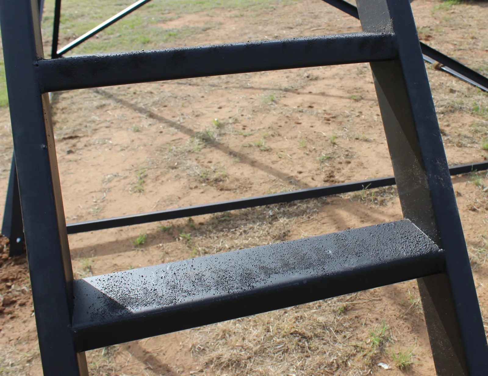 Dual-rail ladder steps